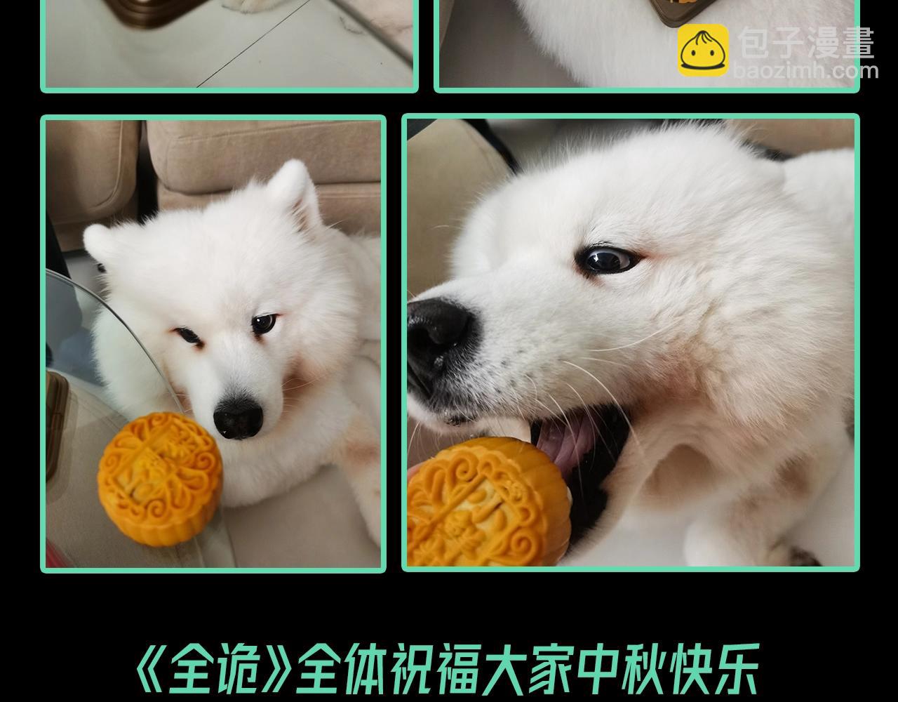 第54期 老婆喜欢的月饼口味（日更中）18