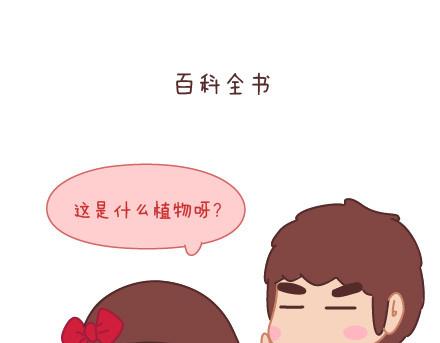 第9话 优秀男朋友必备的72种技能38