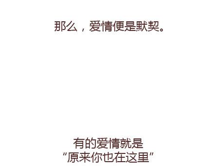 第65话 爱情是什么27