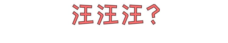 第271话 驾照35