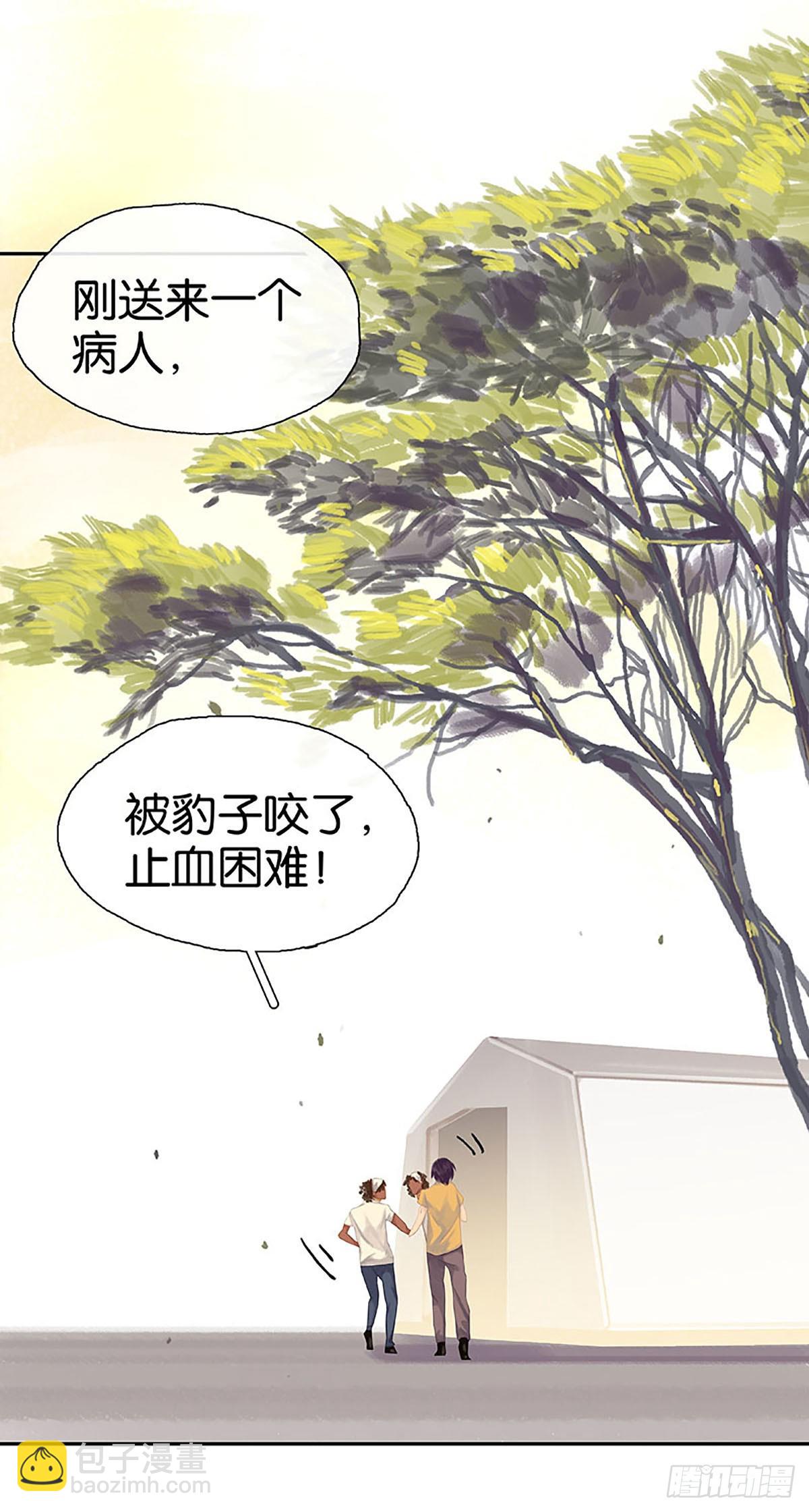 第16话 回国申请9