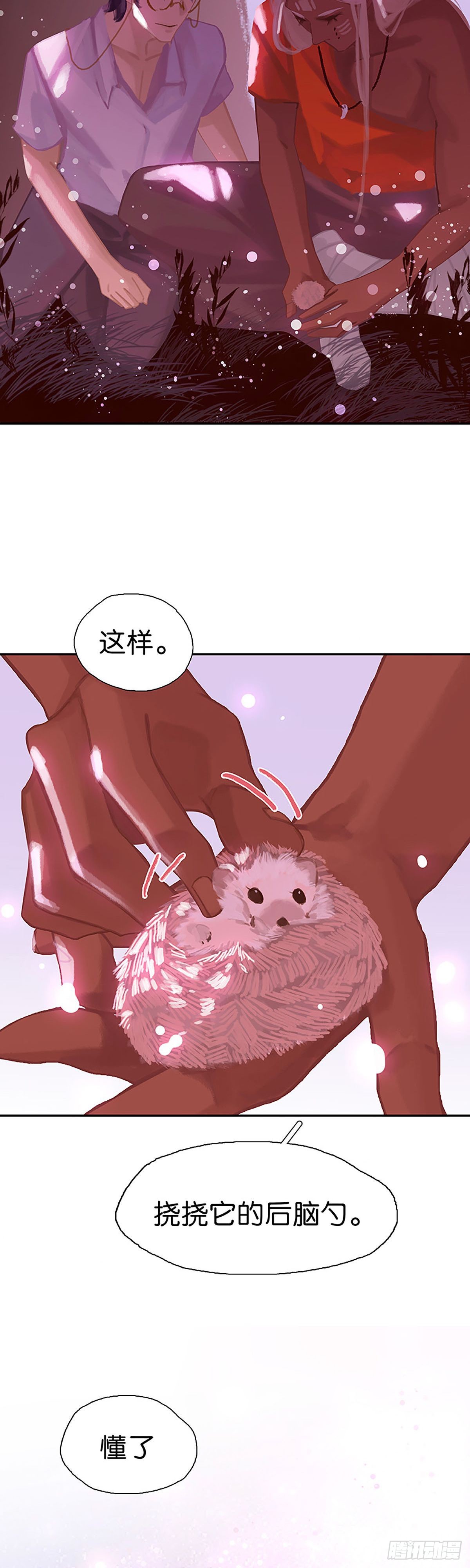 第51话 小刺猬23