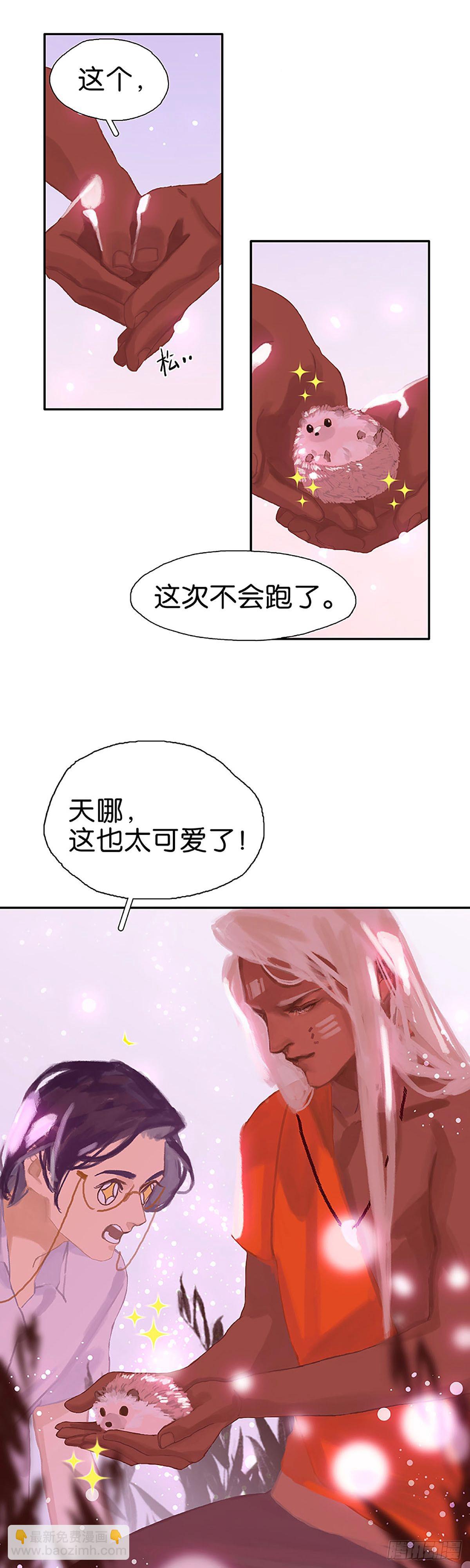 第51话 小刺猬7