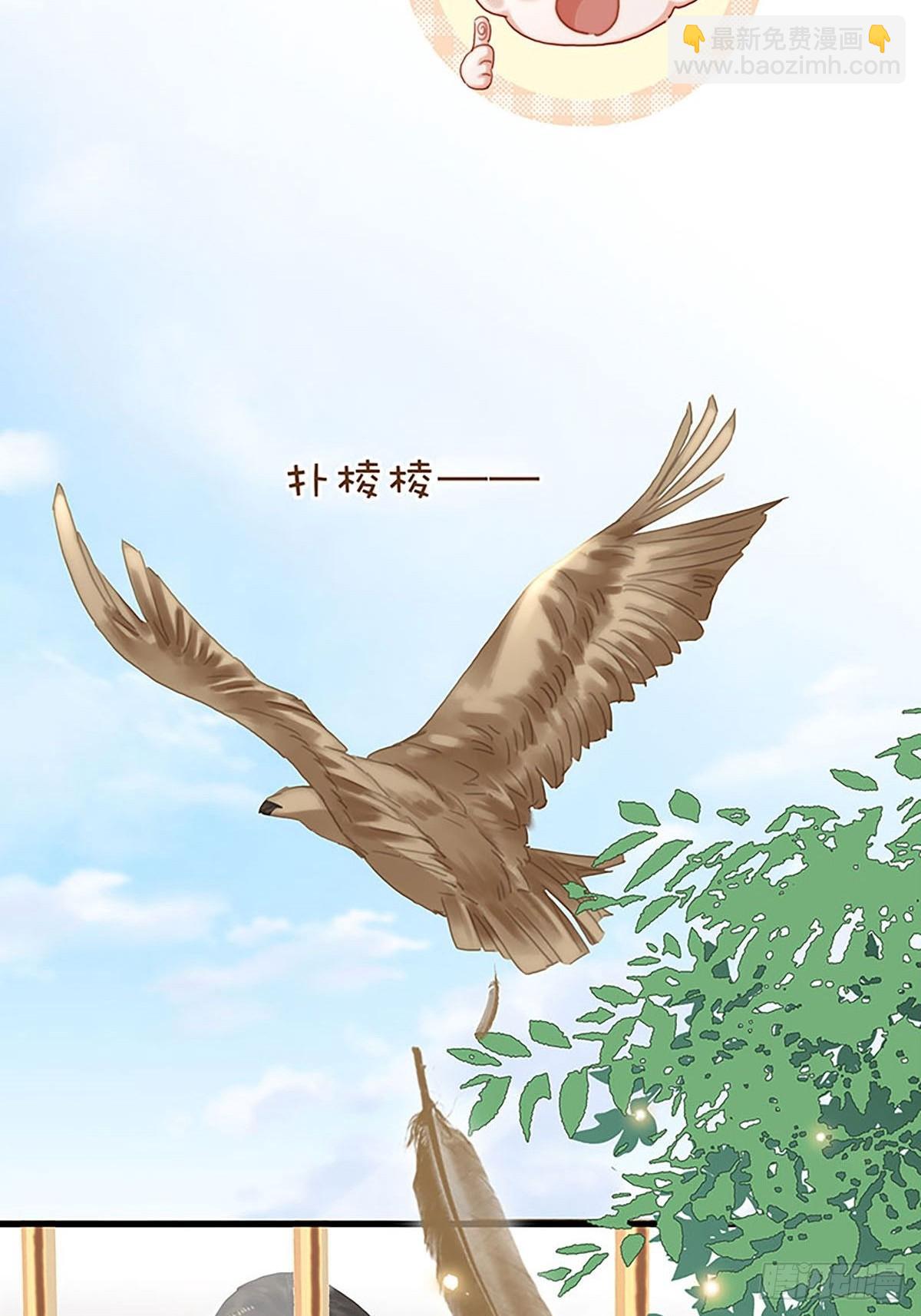 第二季第34话 男宠5