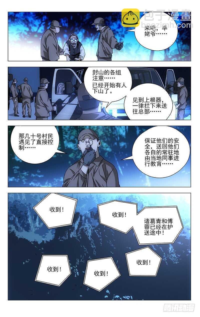 291 肉灵芝4