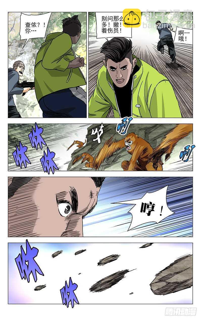 328.国家一级保护动物10