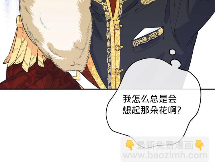 第77话 红薯花118