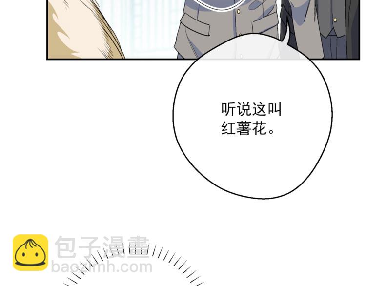 第77话 红薯花135