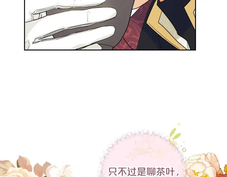 第94话 普洱茶158