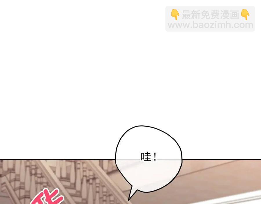 第103话 木槿茶149