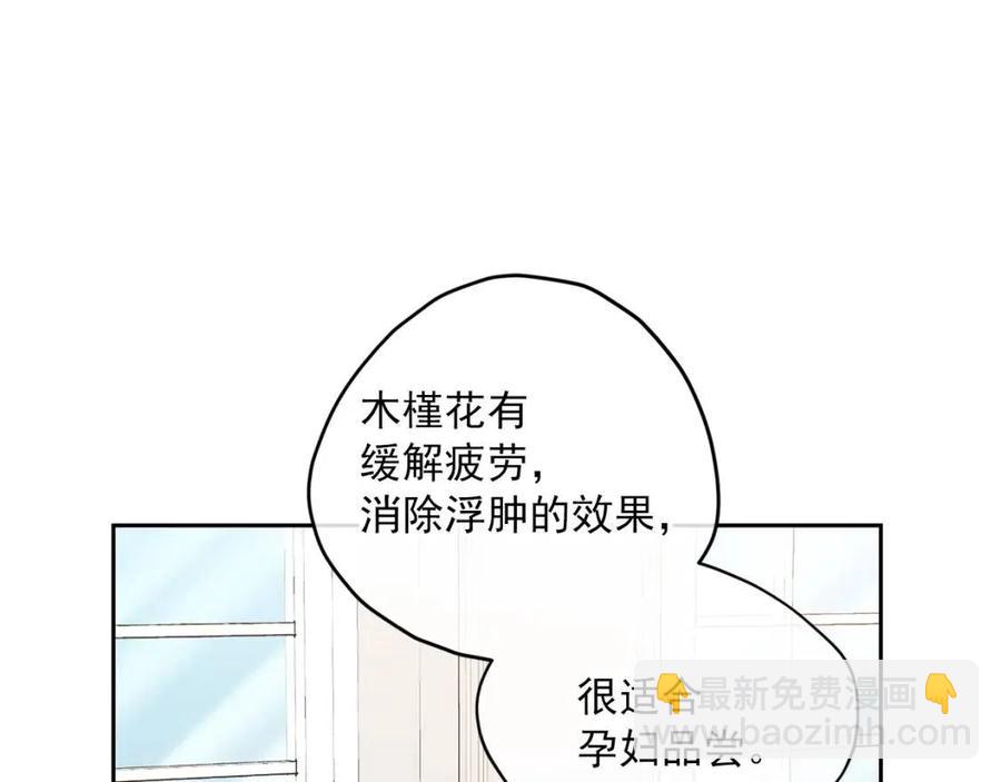 第103话 木槿茶164