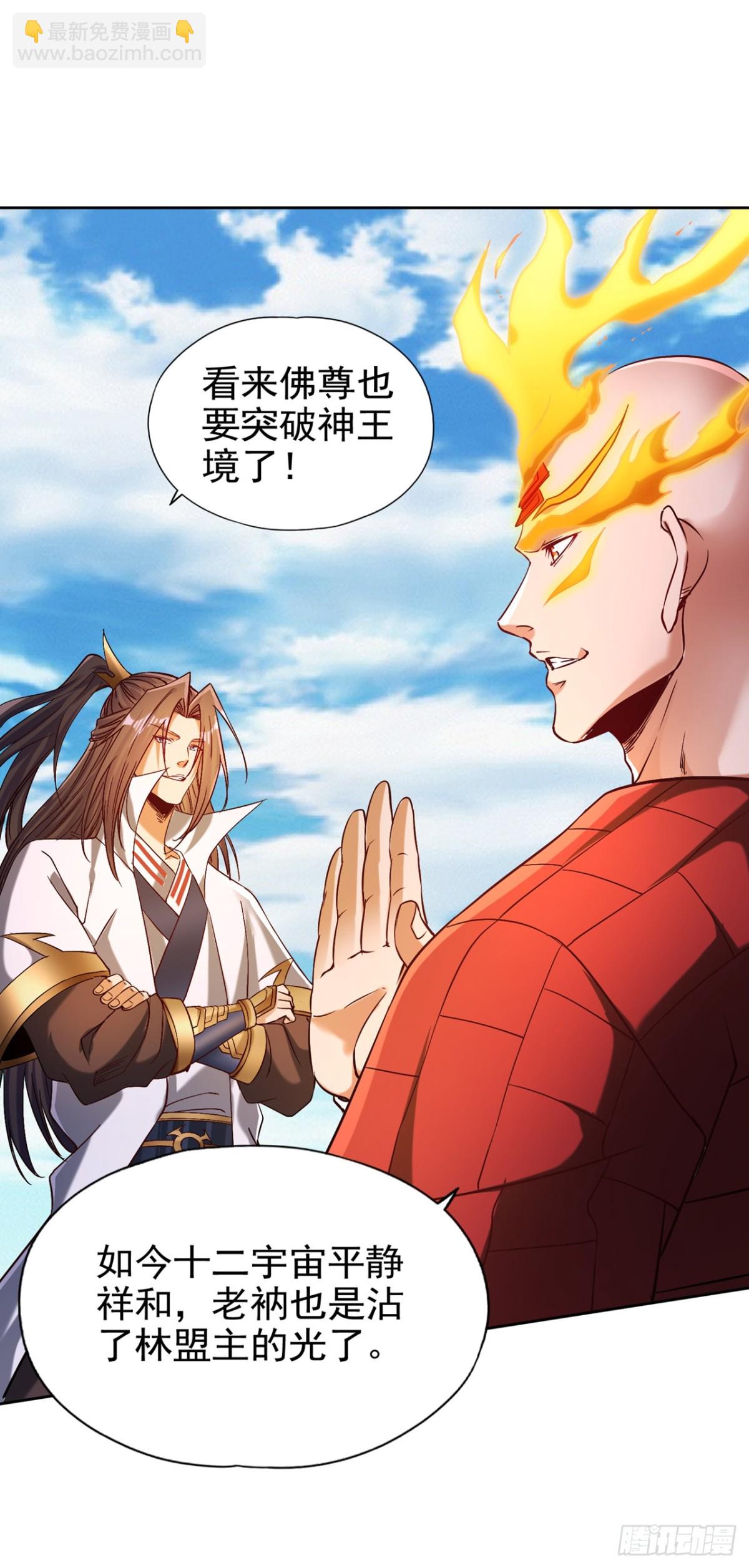 第462话 我林越怕过什么吗？13