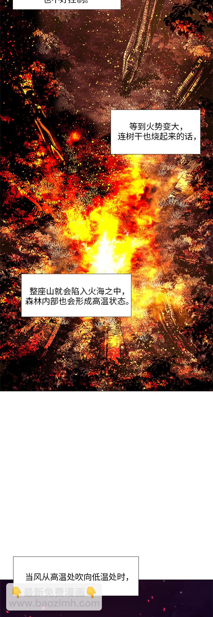 第54话 爵度山森林火灾（2）9