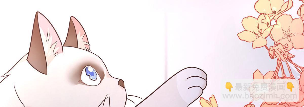 296 睡服秦漠还是得靠……76
