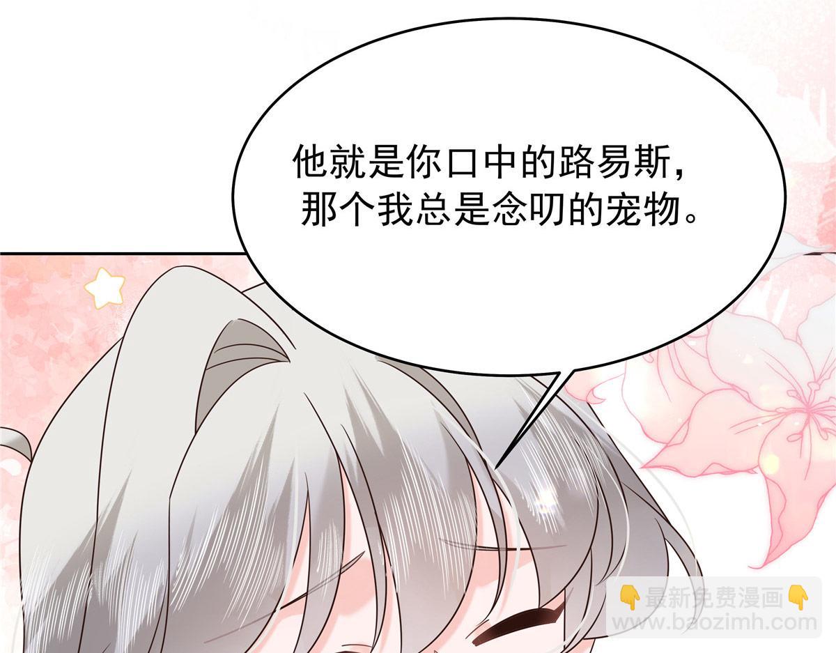 430 围剿Z28