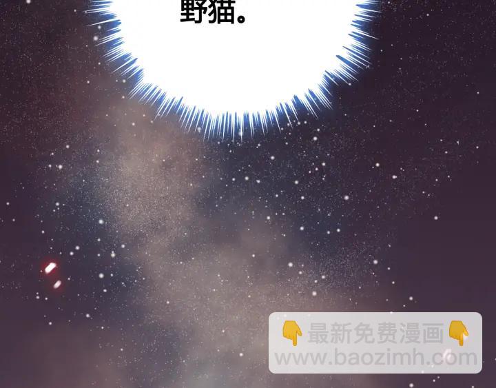 第61话 晚安，小野猫88