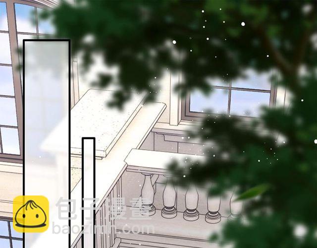 第224话 最大的变数3