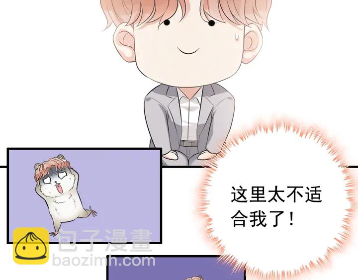 第287话 天塌下来老公顶着48