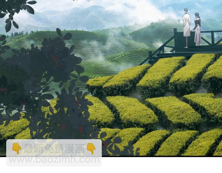第337话 茶山的雨天8