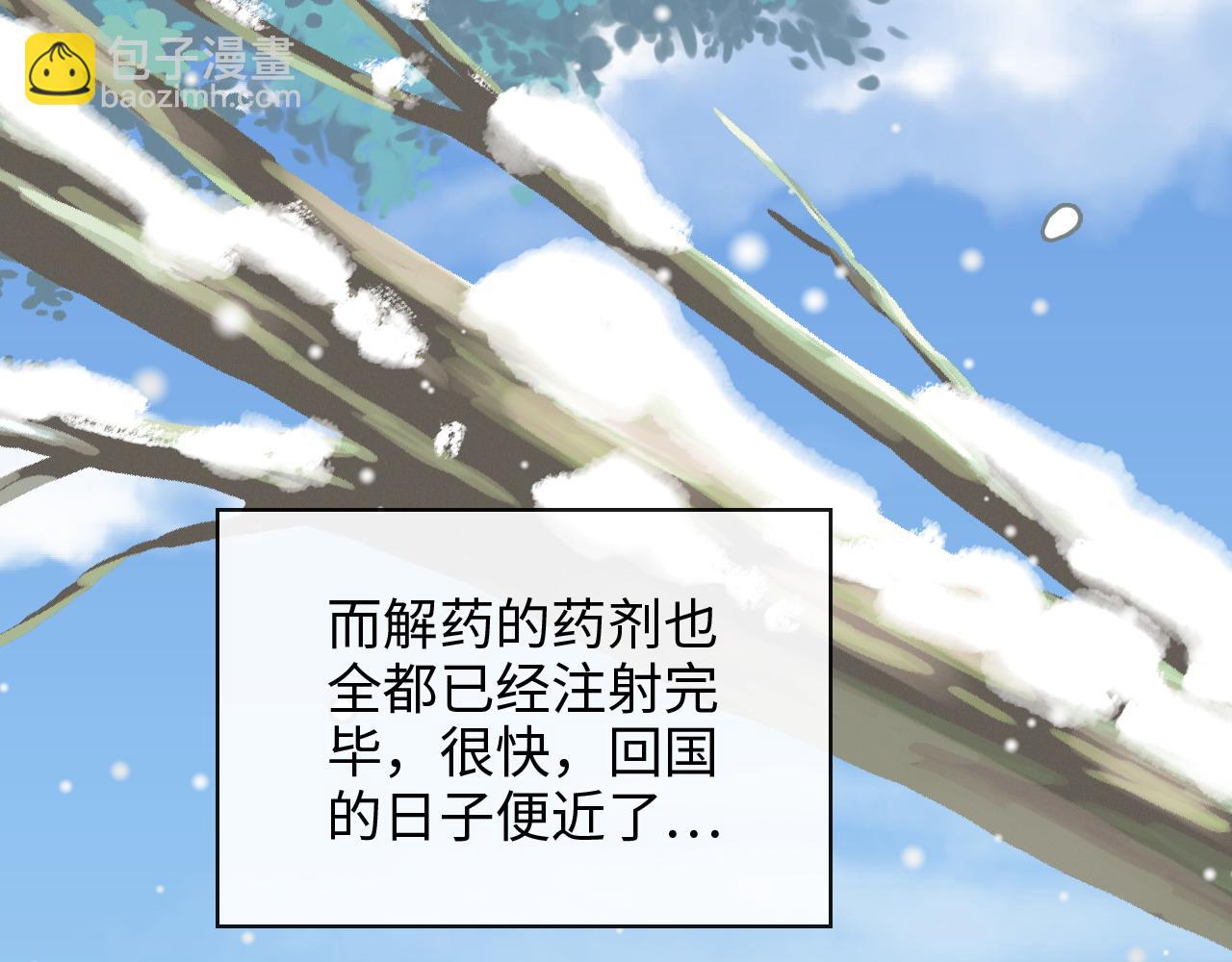 第409话 回国29