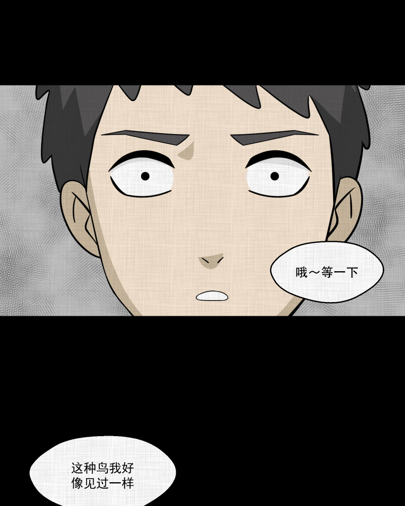 第144话 鸟（二）50