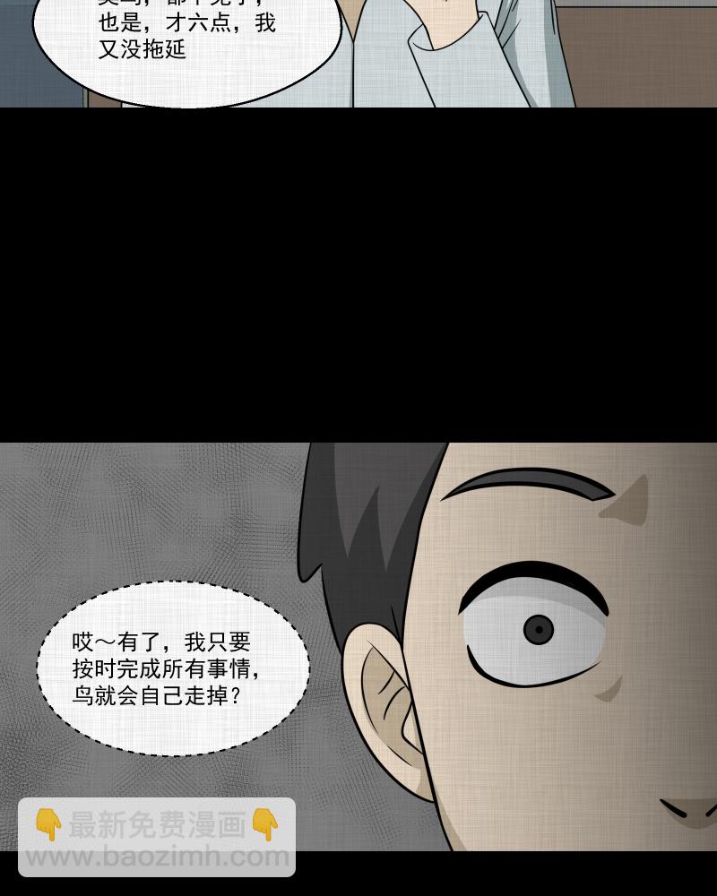 第145话 鸟（三）37