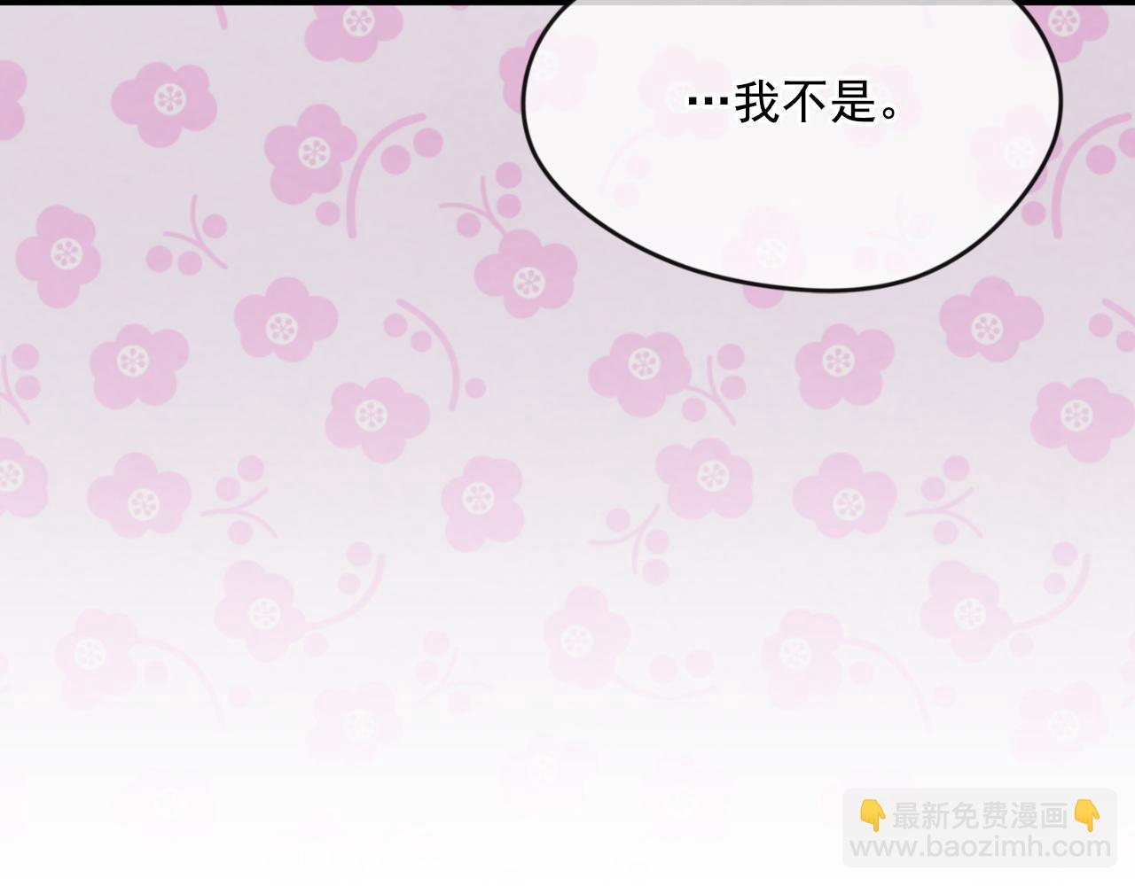外传5 小王子诞生27