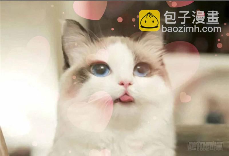 第三十三话 撕开真面目！170