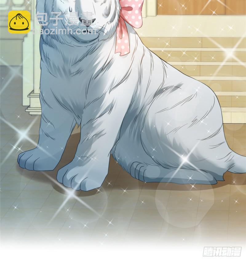 第七十一话 猎物进套50