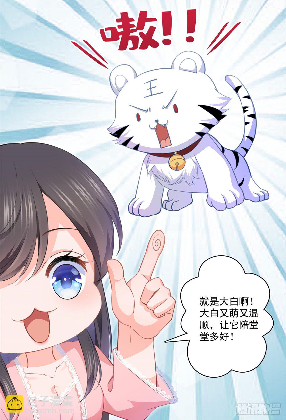第207话 大白这么可爱8