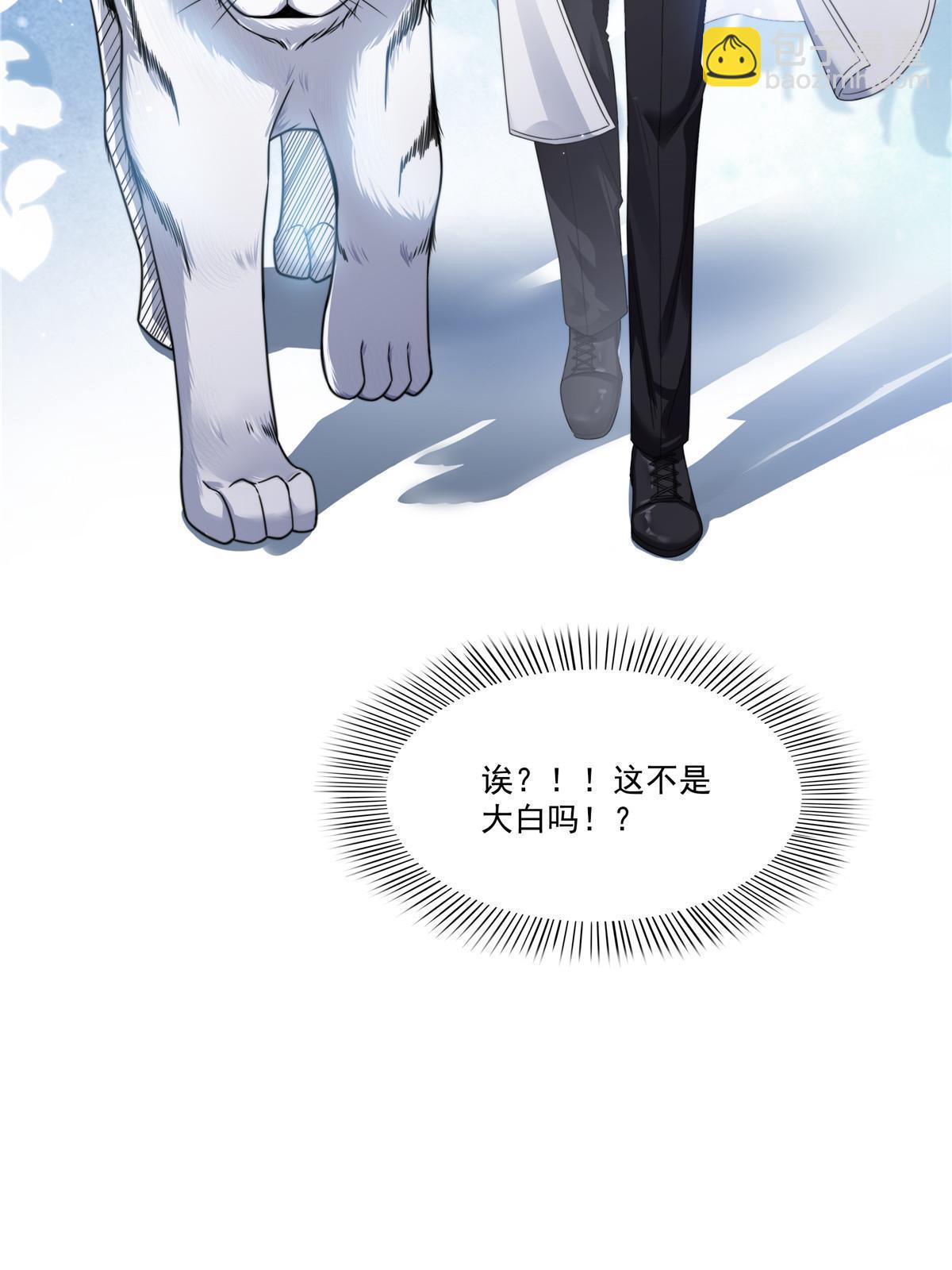 第277话 也是你的宠物38