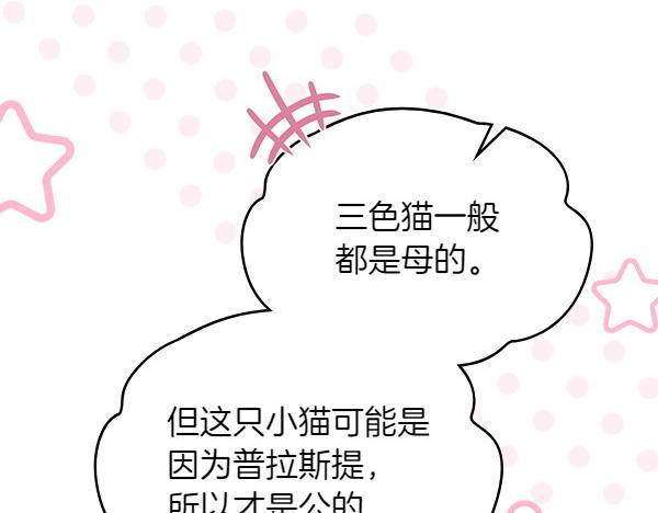 第118话 魔兽的真面目40