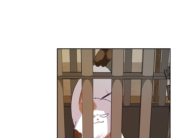 第118话 魔兽的真面目56