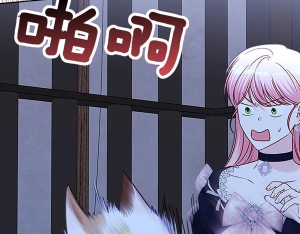 第121话 成功啦55