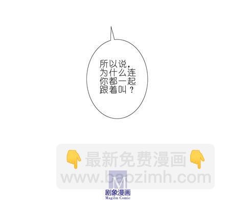 第45坑 为什么连你都一起跟着叫13