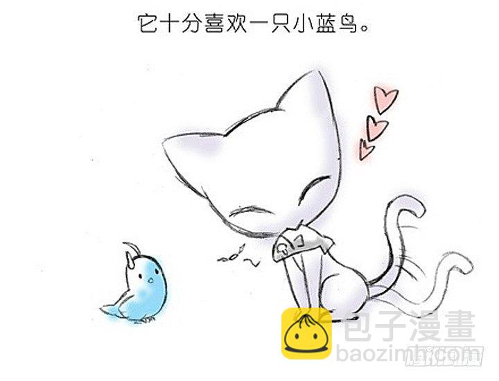 番外：飞星喵2.为什么不喜欢我？1