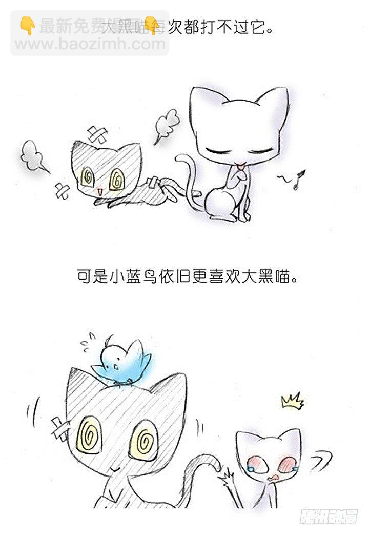 番外：飞星喵2.为什么不喜欢我？3