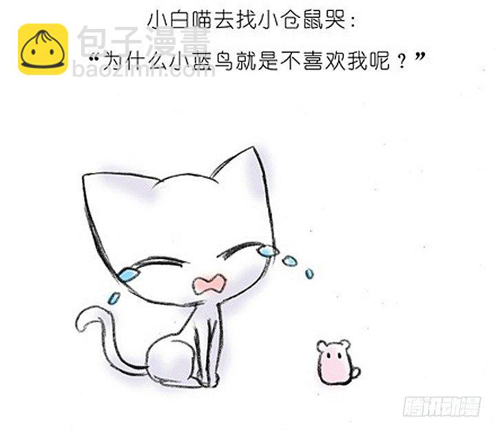 番外：飞星喵2.为什么不喜欢我？4