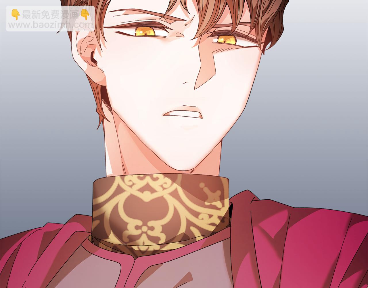 第116话 陛下现身176