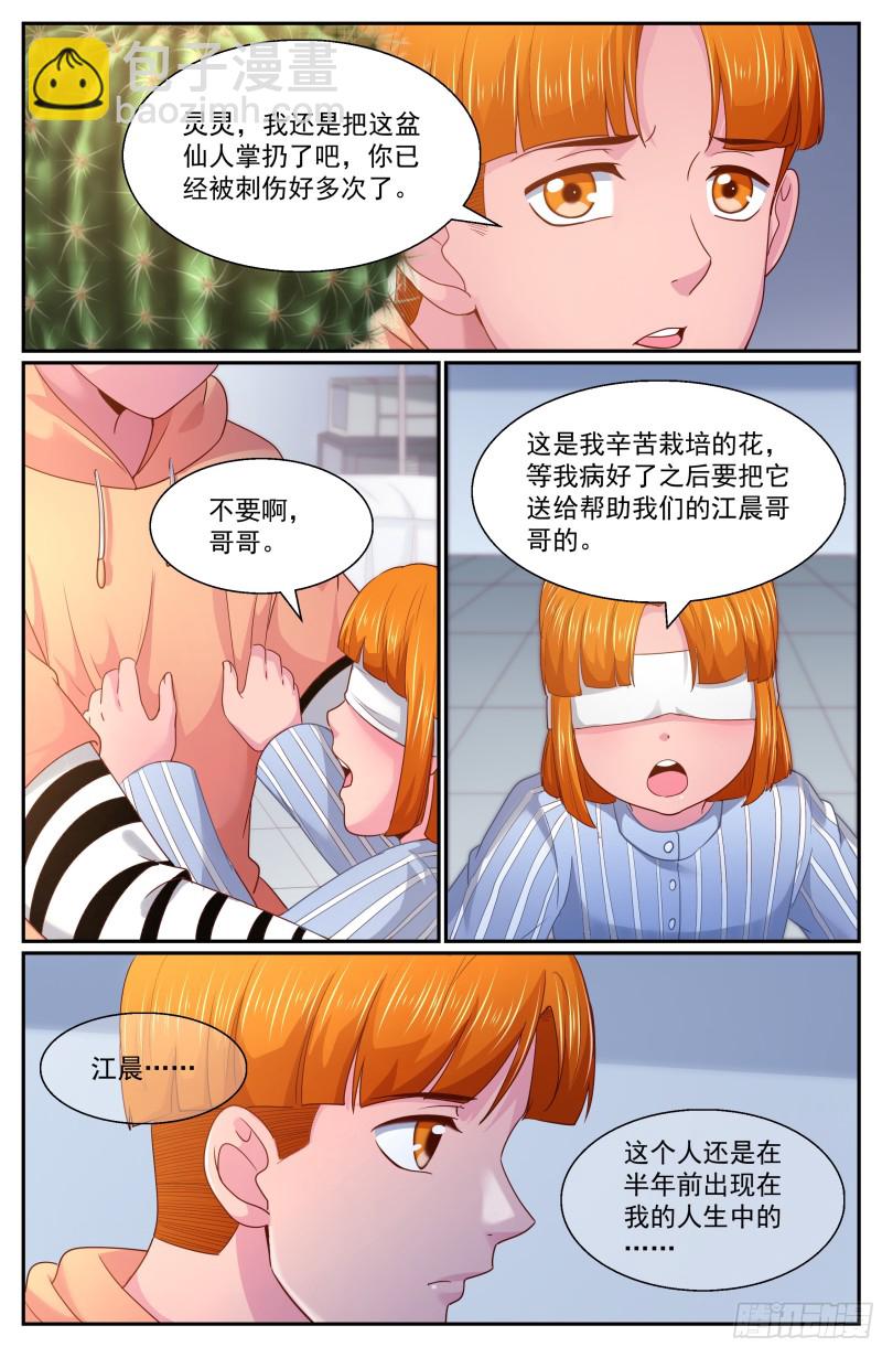 265 间谍8