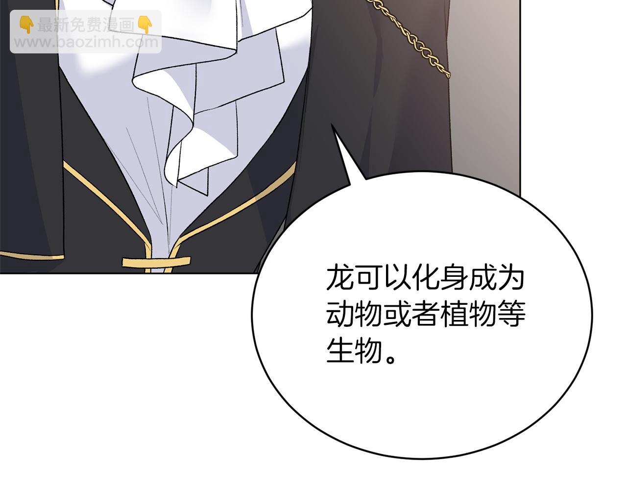 第86话 魔法师来访104