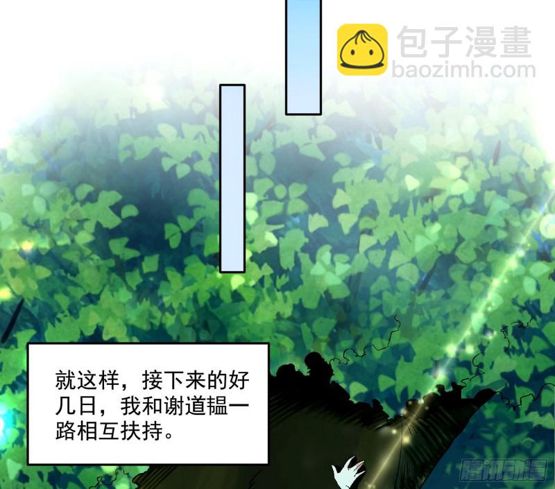 不开窍的谢道韫60
