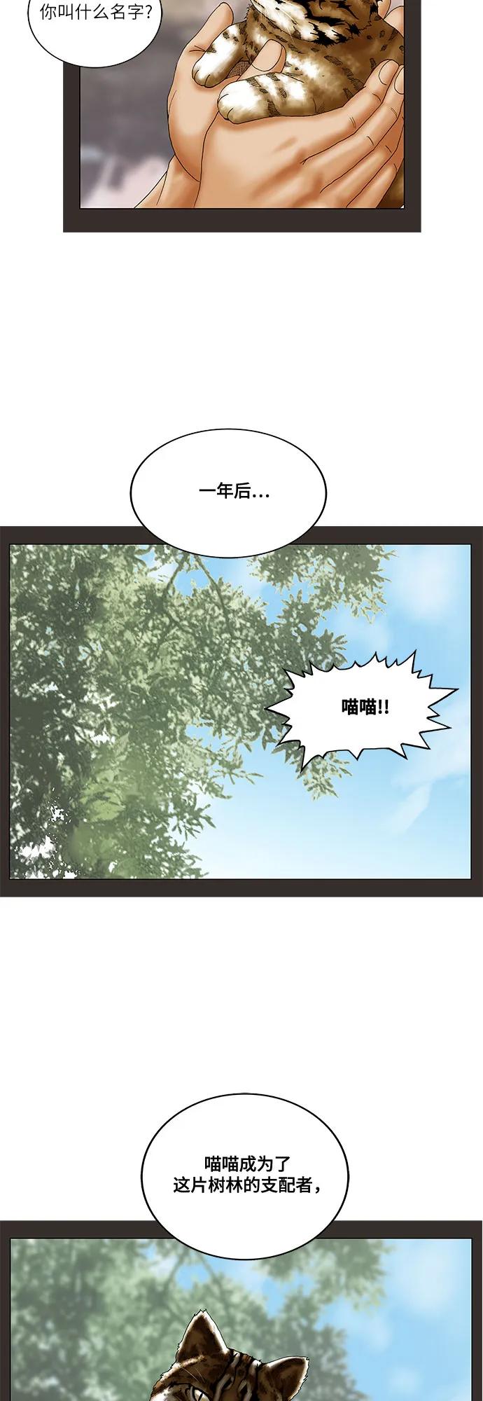 第245话19