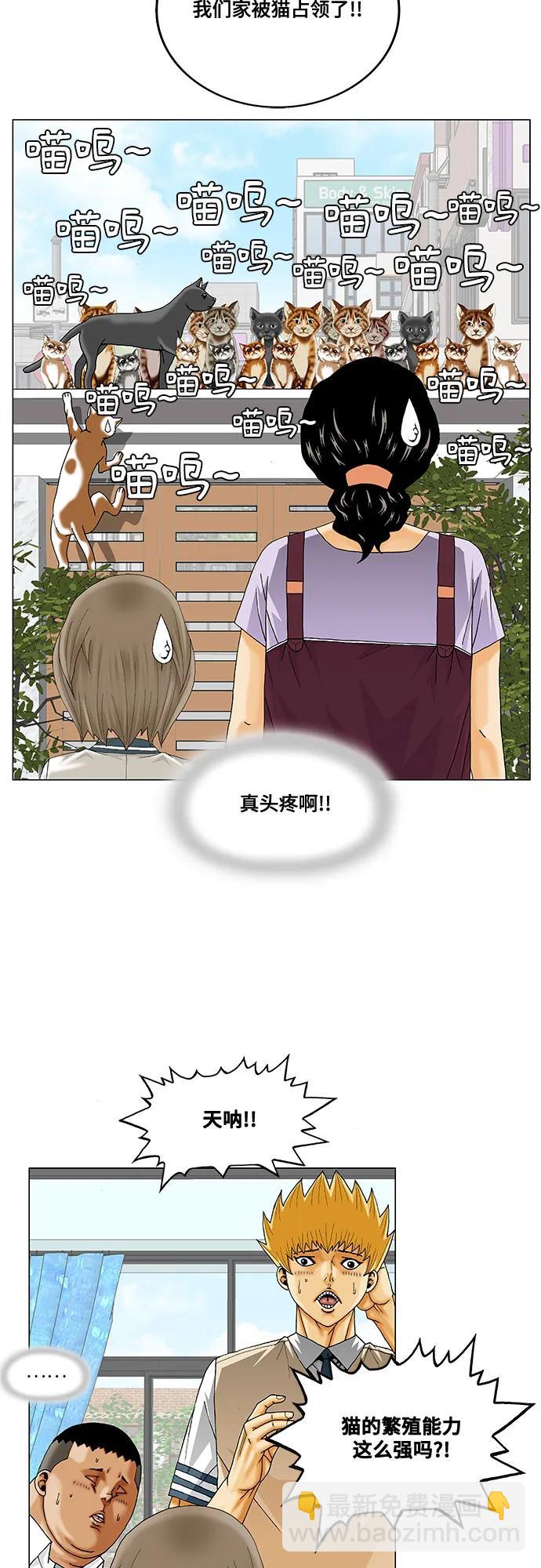 第250话23