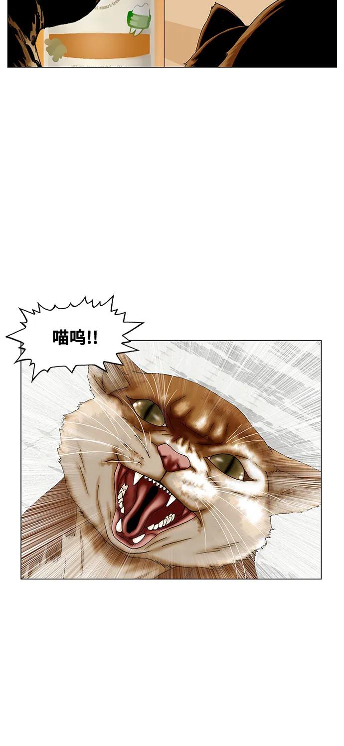 第251话11