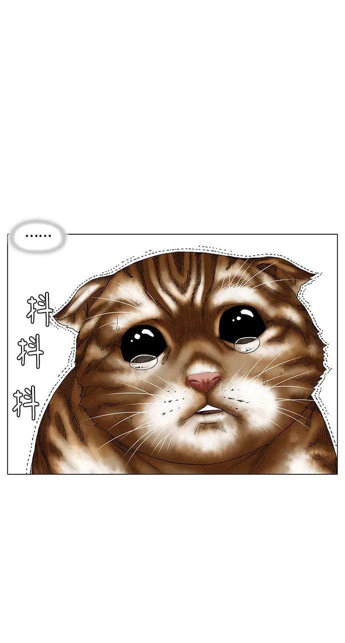 第252话11