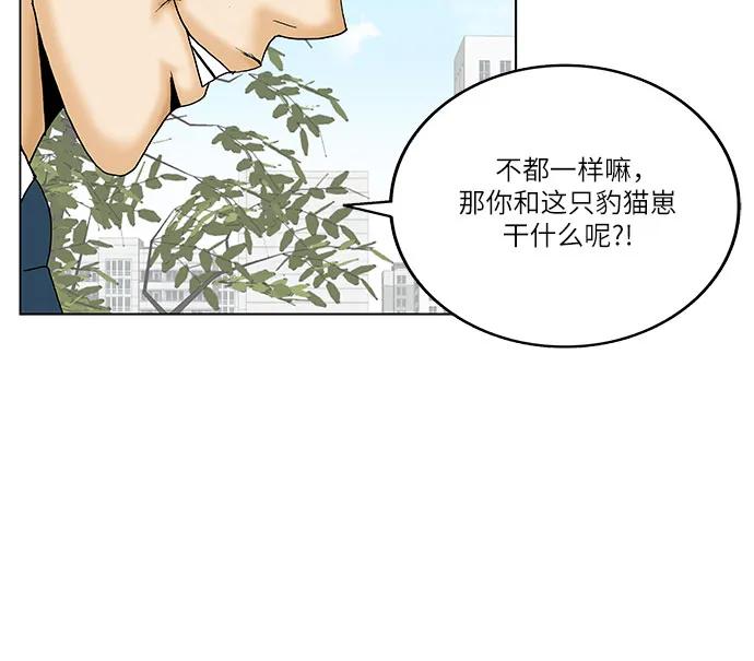 第254话40