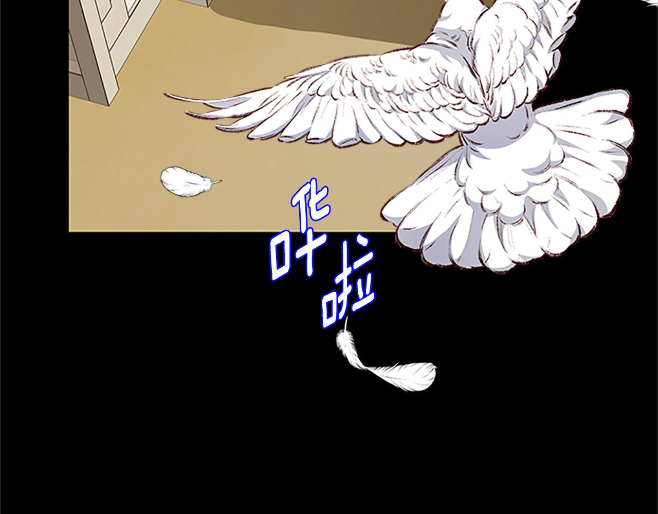 第126话 她的愿望171