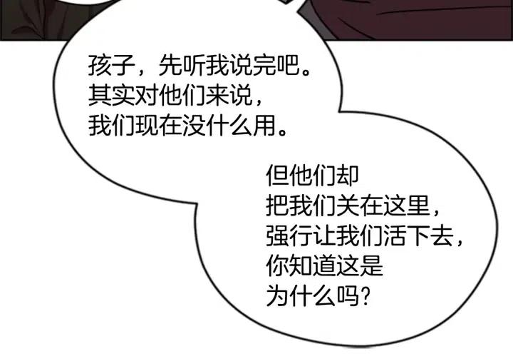 第86话 证据115