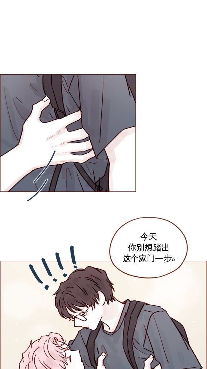 [第206话] 太喜欢柿子了嘛40